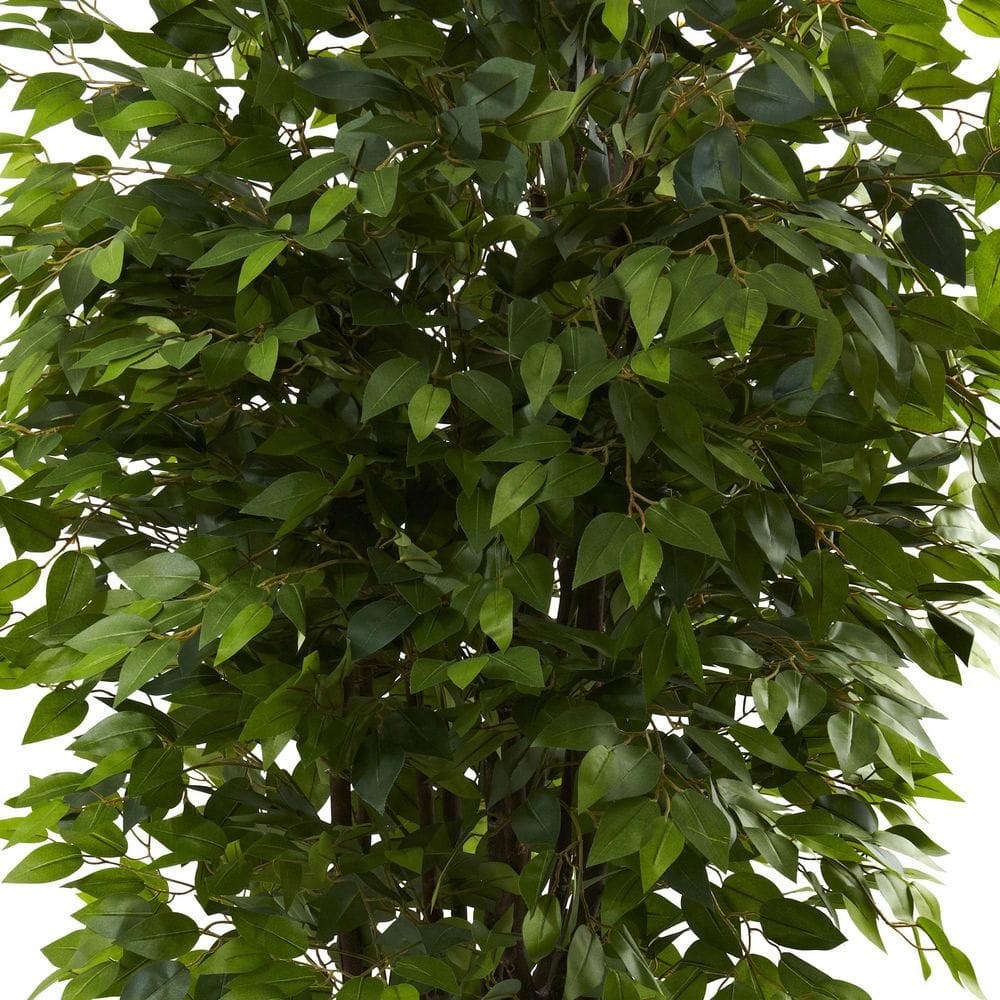 6.5' Green Silk Ficus Tree in Black Pot