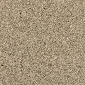 Tailored Trends III Modern Gray 58 oz. Polyester Textured Installed Carpet