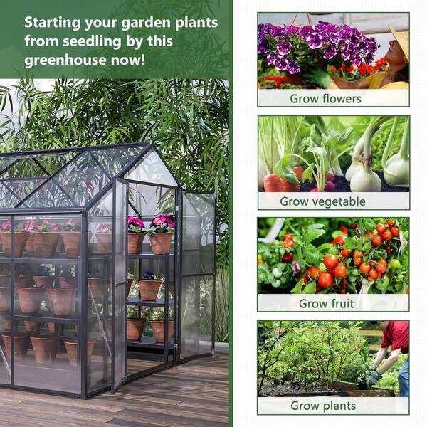 Thanaddo 8 ft. W x 12 ft. D Outdoors Walk-in Polycarbonate Greenhouse, Green House Kit with Adjustable Roof Vent, Black