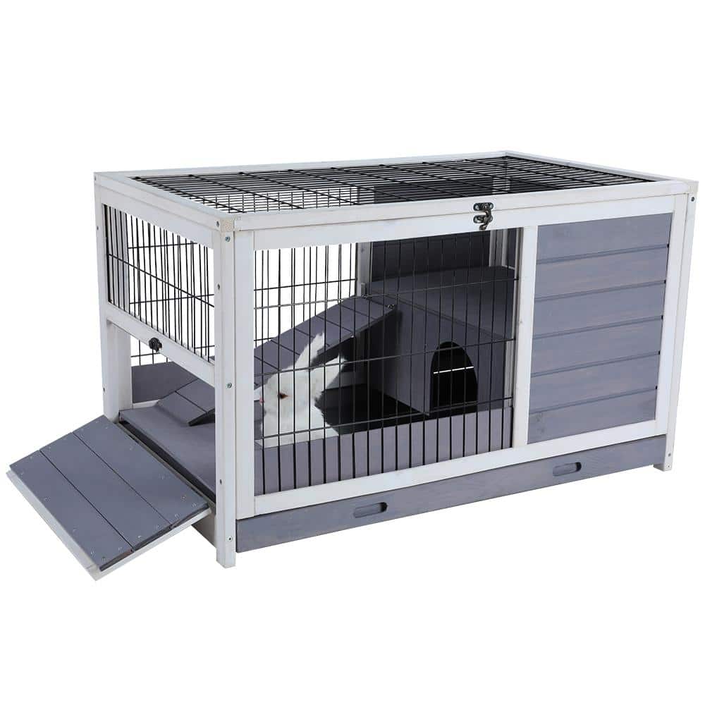 Small Animal Cages & Hutches