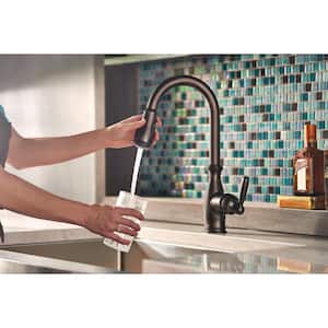 Brantford Single-Handle Pull-Down Sprayer Kitchen Faucet with Reflex and Power Boost in Oil Rubbed Bronze