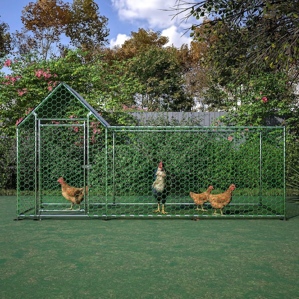 59.6 in. H x 119.1 in. L Green Metal Wire Mesh Fence Netting with Cover for Aviary, Chicken Coop, Rabbit Hutch, Garden