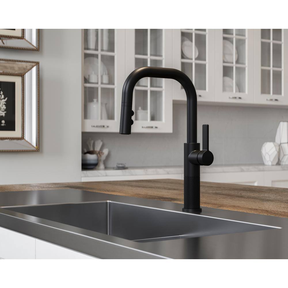 Matte Black Single Handle Pull-Down Kitchen Faucet