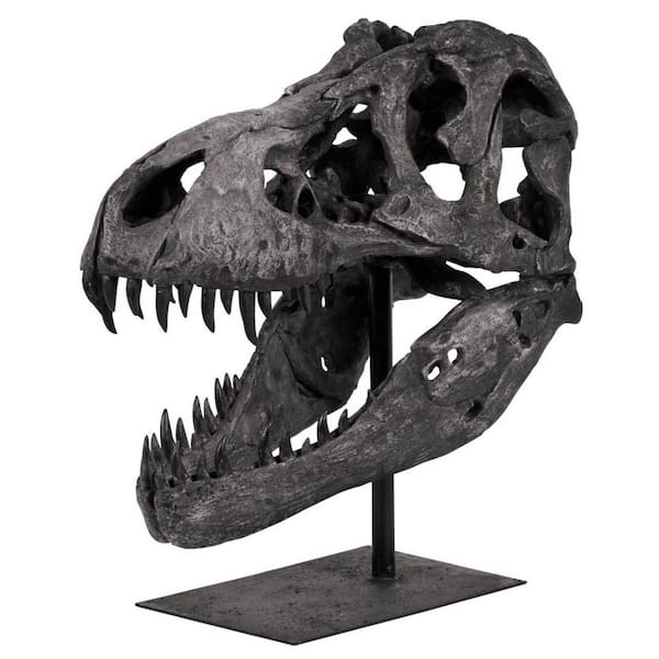 Lagrane Gray 11.00 in. x 20.00 in. Resin Replica Dinosaur Tyrannosaurus T-Rex Skull