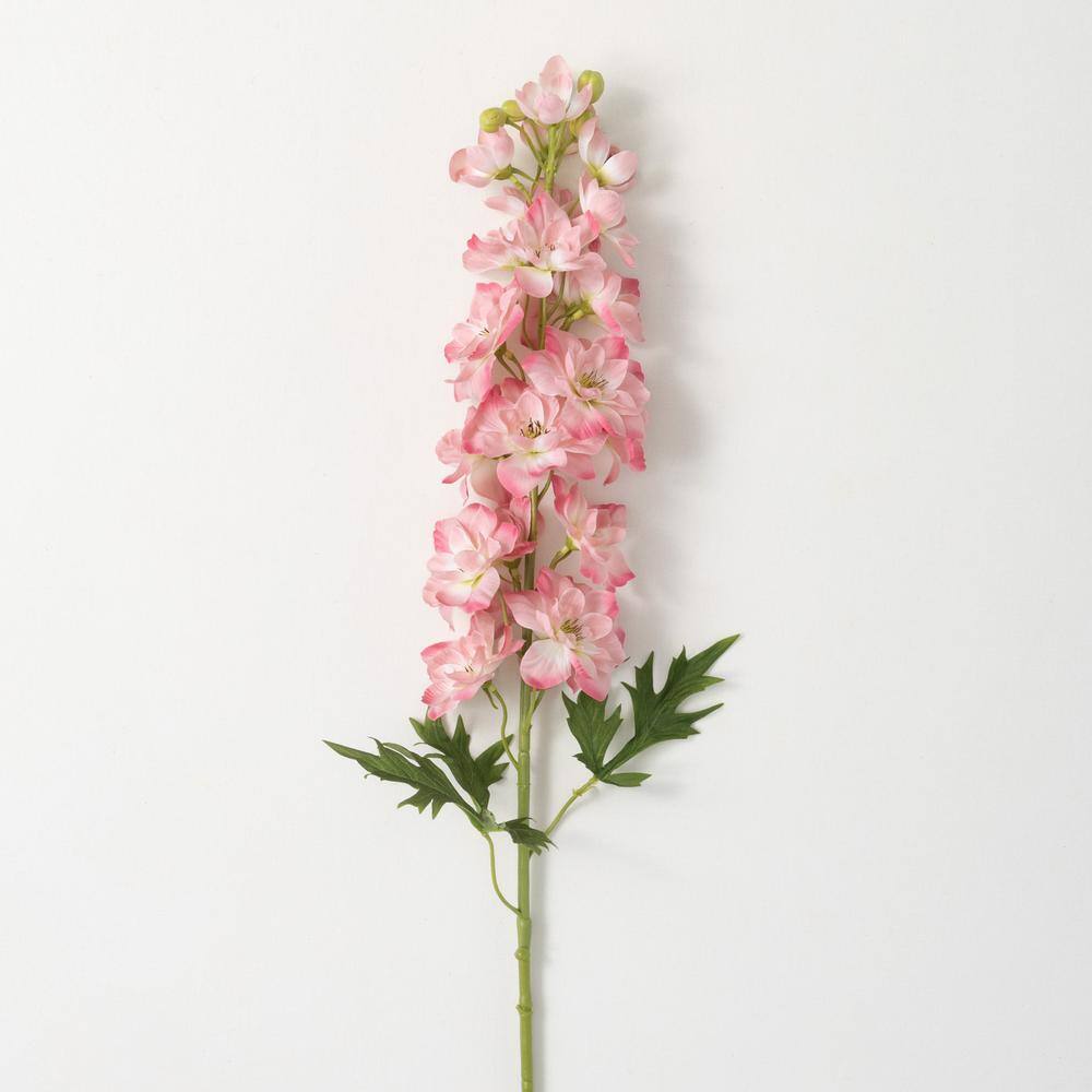 Pink Delphinium Flowers
