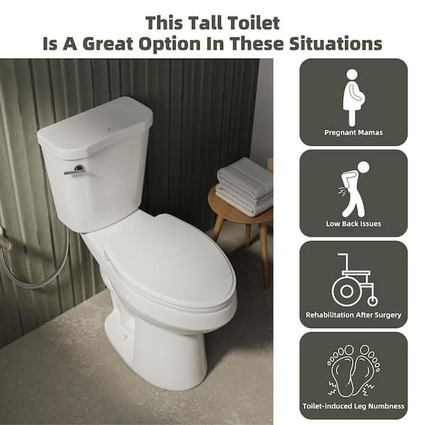 Tall Toilet 19 in. White Elongated Bowl 2-Piece High Toilet 1.28 GPF Single Flush S-Trap 12 in. Rough-in Seat Included