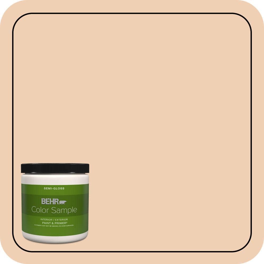 8 oz. #PPU3-07 Pale Coral Semi-Gloss Interior/Exterior Paint & Primer Color Sample product image for price tracking