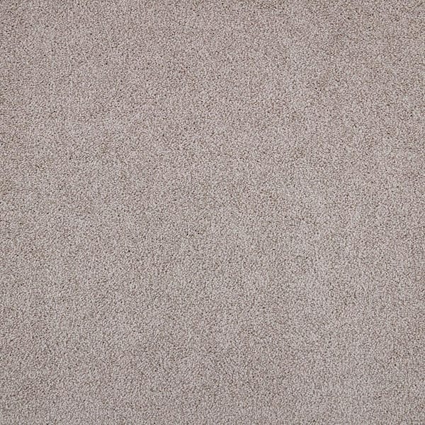 Mohawk Home & Office Board Room Charcoal Textured Carpet Sample (Interior)