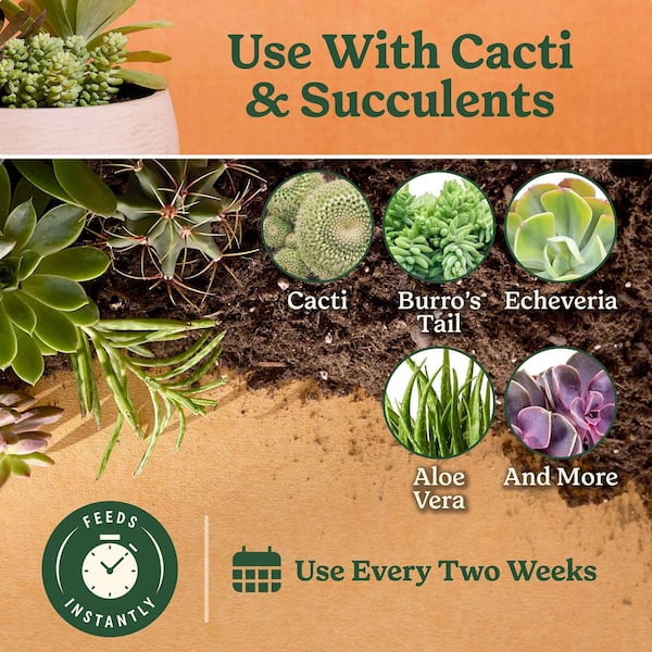 Indoor Plant Food for Cactus and Succulent 8 oz. Liquid Plant Food for Indoor Succulents and Cactus (6-Pack)