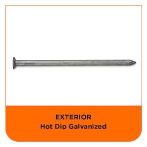 12 in. Hot Dipped Galvanized Common Spike Nail