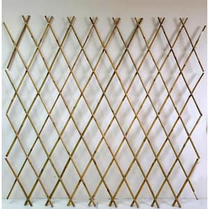 60 in. H Expandable Bamboo Trellis