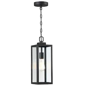 1-Light Matte Black Outdoor Pendant Light with Clear Glass