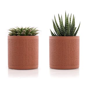 2.5 in. Assorted Succulent Set in Orange Dot Pot (2-Pack)