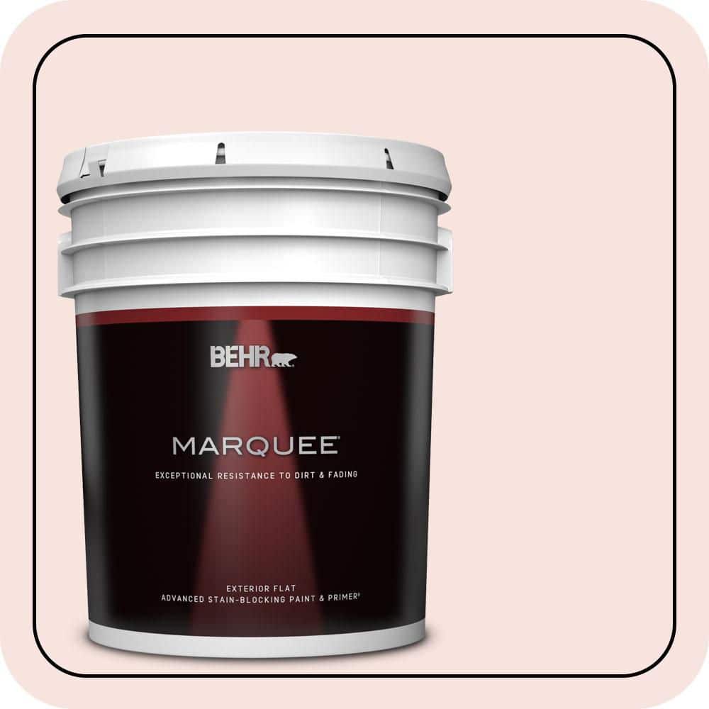 5 gal. #160A-1 Cream Rose Flat Exterior Paint & Primer price history on PriceWatchPro