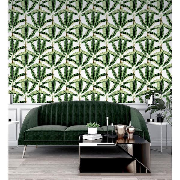 Musa Green Palm Tree Wallpaper Sample