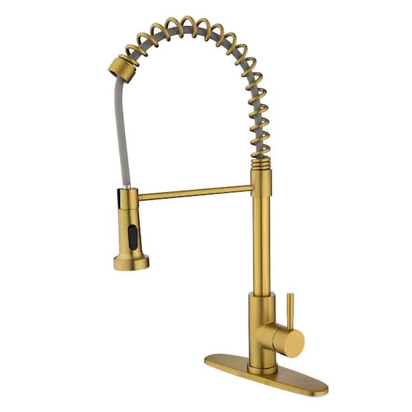 Tahanbath Kitchen Faucet with Pull Out Spraye