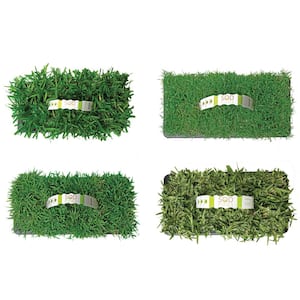 Multi Variety Grass Plug Pack (32-Count) Natural, Affordable Lawn Improvement