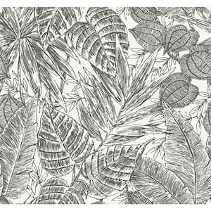 Brentwood Black Textured Palm Leaves Non-pasted Paper Weave Grasscloth Wallpaper
