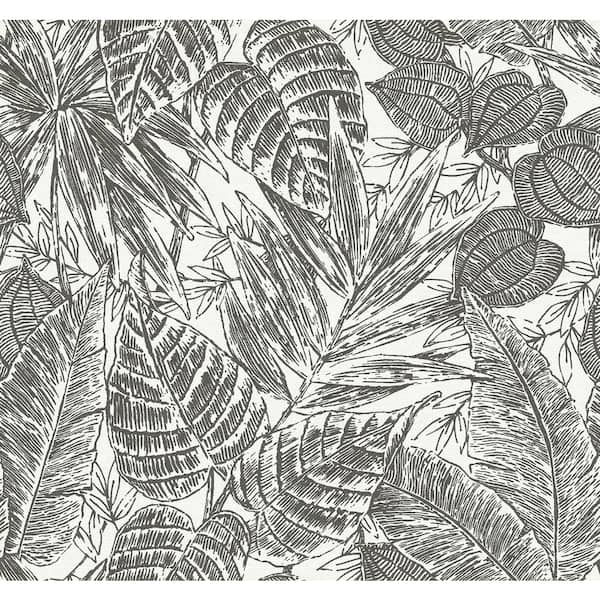 SCOTT LIVING Brentwood Black Palm Leaves Wallpaper Sample
