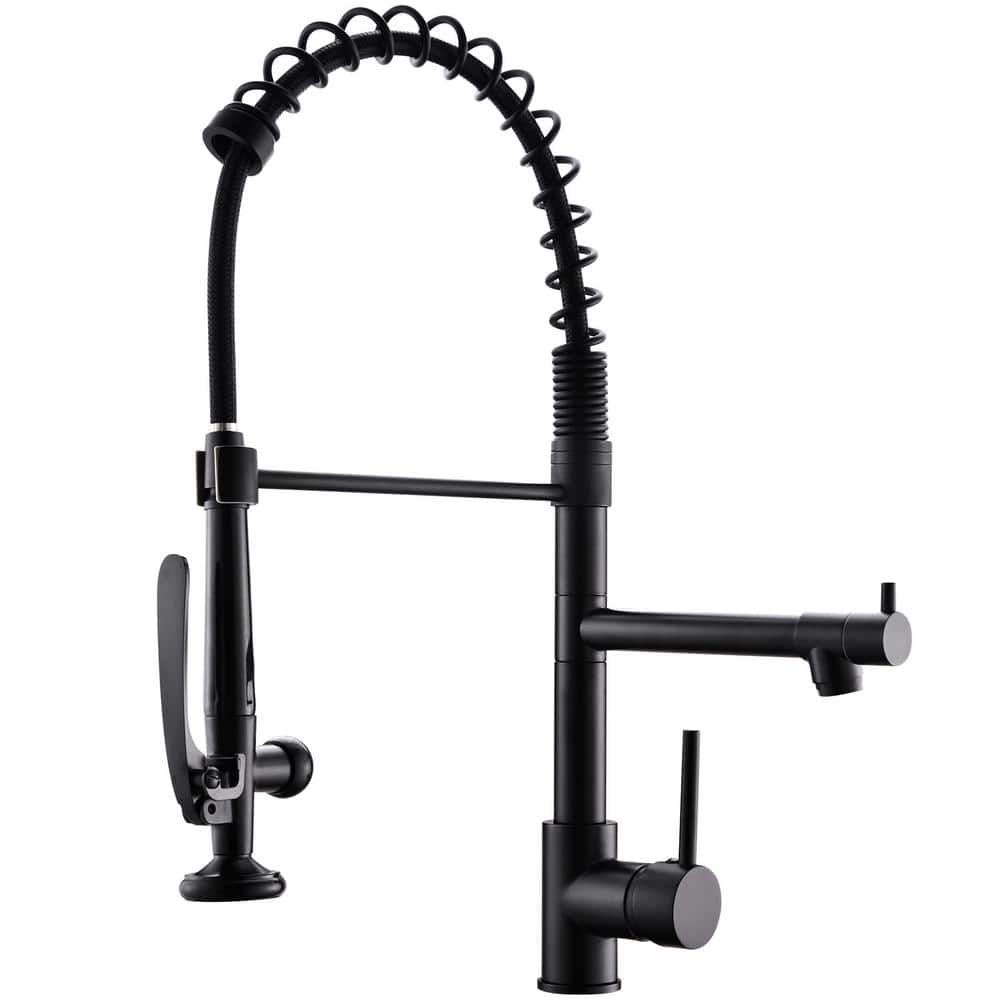 Fapully SingleHandle PullDown Sprayer Kitchen Faucet with Pot Filter