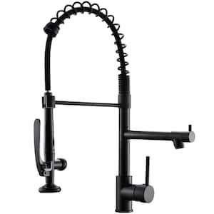 Single-Handle Pull-Down Sprayer Kitchen Faucet with Pot Filter in Matte Black