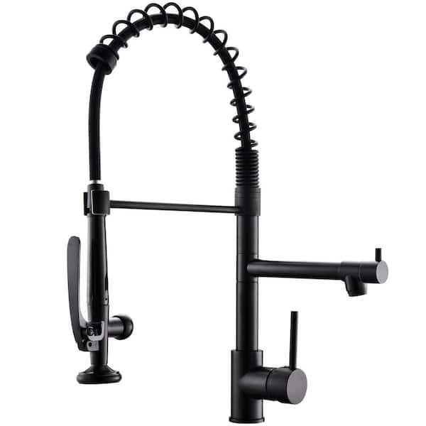 Fapully Single-Handle Pull-Down Sprayer Kitchen Faucet with Pot Filter in Matte Black