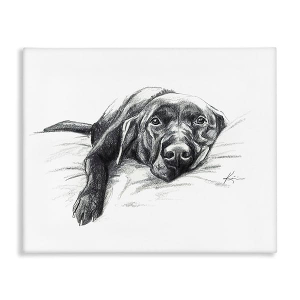 Stupell Industries Naptime Black Labrador by Lindsay Kivi Fine Art Unframed Animal Graphic Art Print 30 in. x 40 in.