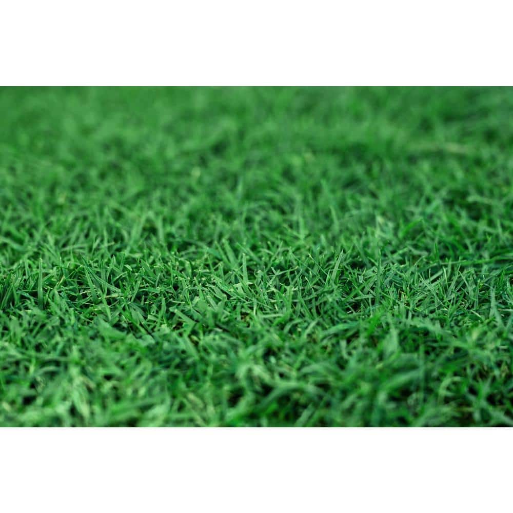 Small Green Natural Grass Dog Potty Pad