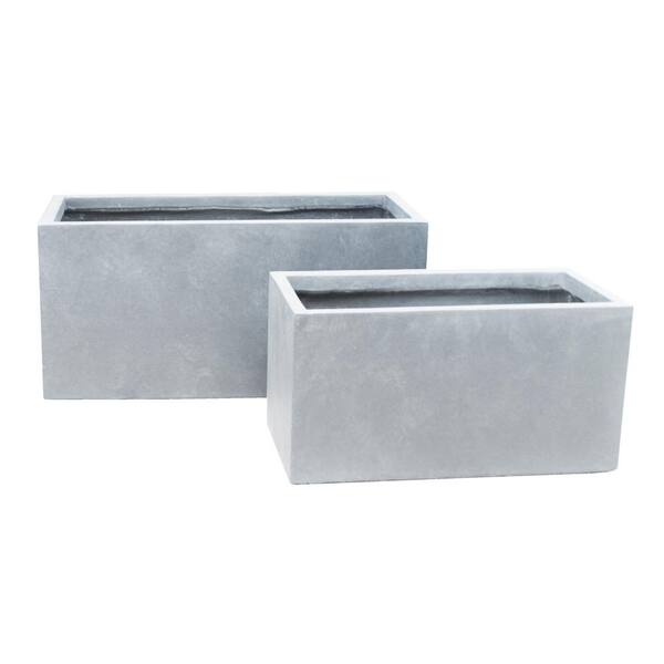SUCCULENT GARDEN IN GRAY CONCRETE PLANTER 5.5" MODERN SUCCULENT GARDEN IN GRAY CONCRETE PLANTER 5.5" MODERN