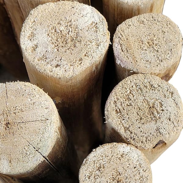 72 in. L x 12 in. H Eucalyptus Wood Solid Log for Landscaping Edging and Lawn Border, Flower Bed Garden