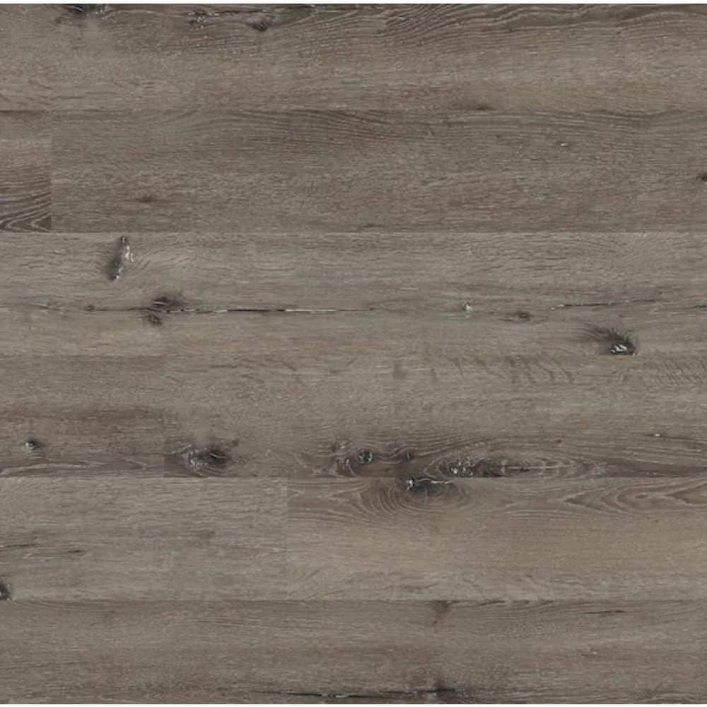 Aanda Surfaces Take Home Sample 7 In X 7 In Woodlett Empire Oak Glue Down Luxury Vinyl Plank 8016