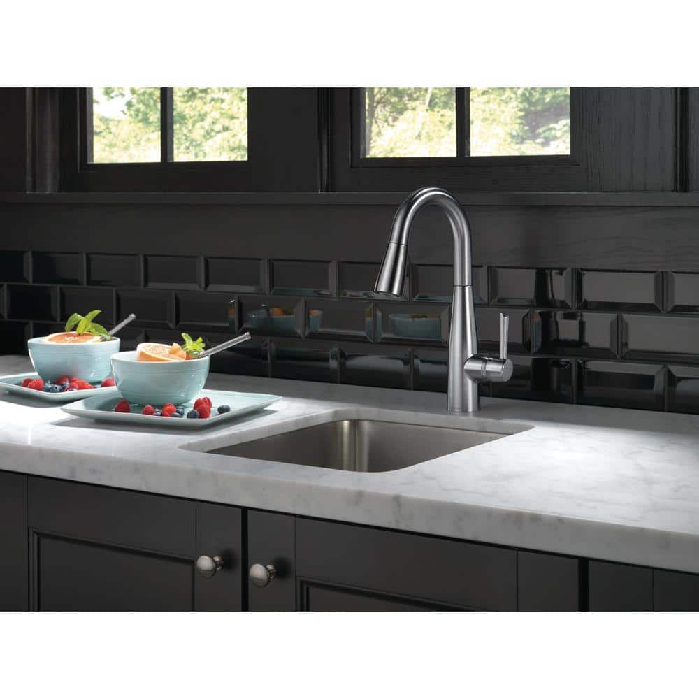 Arctic Stainless Transitional Pull-Out Spray Kitchen Faucet