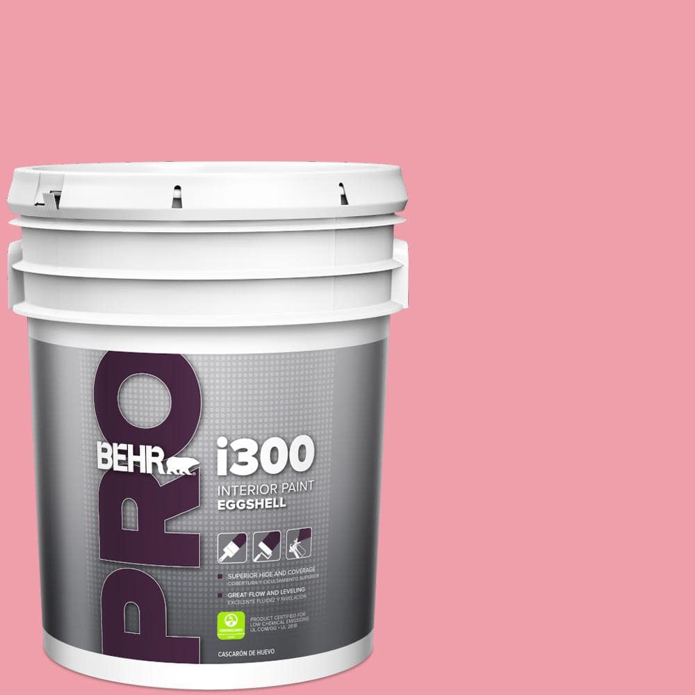 5 gal. #120B-5 Candy Coated Eggshell Interior Paint price history on PriceWatchPro