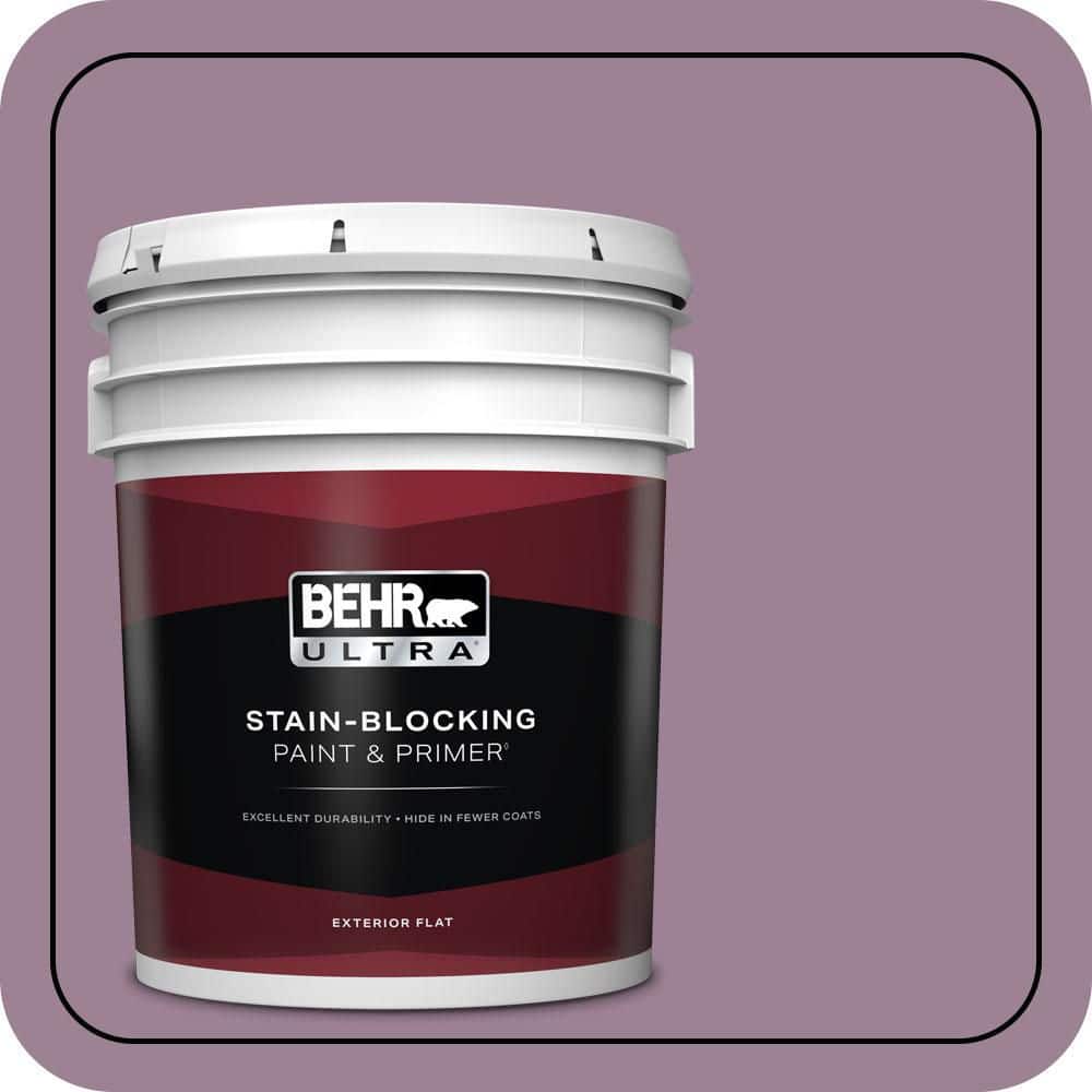 5 gal. #S110-5 Garden Plum Flat Exterior Paint & Primer price history on PriceWatchPro