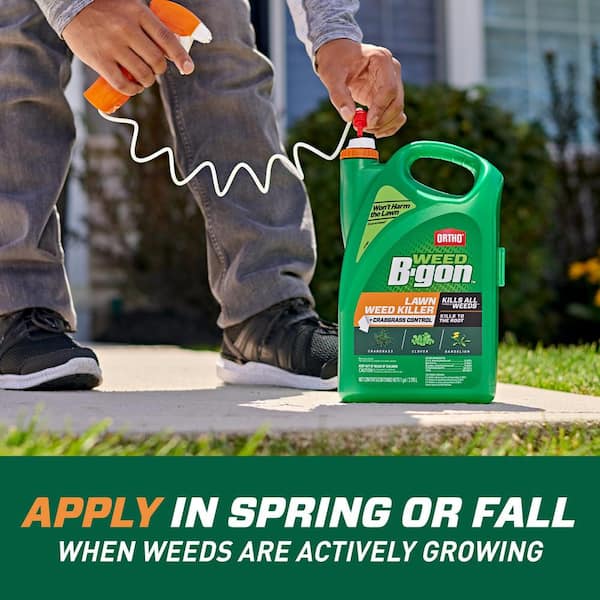 Ortho Weed Bgon 24 Lawn Weed Killer ReadyToUse Plus