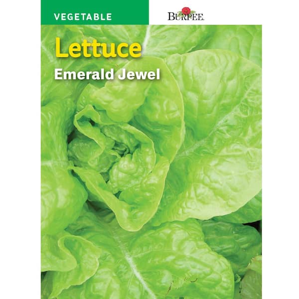 Burpee Lettuce Leaf Emerald Jewel Seed
