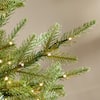 7.5 ft. Grand Duchess Balsam Fir LED Christmas Tree