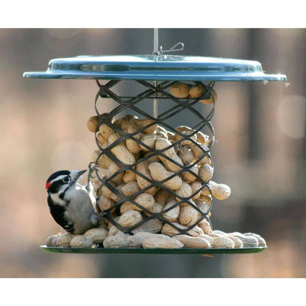 Green and Black Metal Hanging Tube Bird Feeder