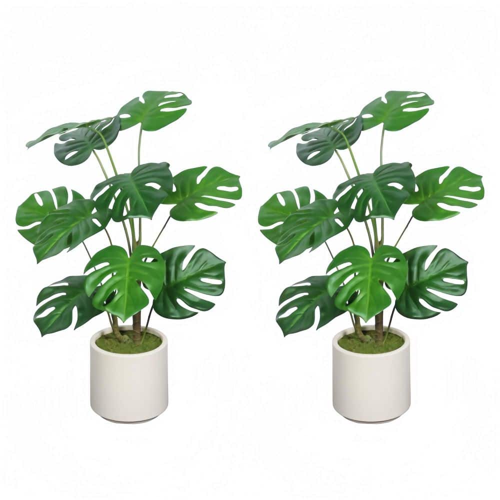 30-Inch Indoor/Outdoor Artificial Monstera Plants with White Planters - 2-Piece Set price history on PriceWatchPro