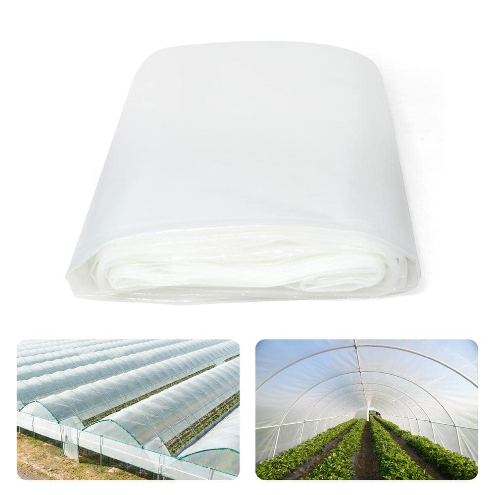 Fencer Wire 25 ft. x 32 ft. 6 mil Clear Greenhouse Plastic Sheeting, UV ...