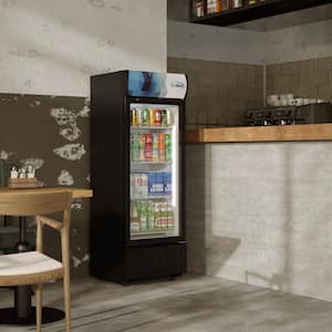 22 in. W 9 cu. ft. Commercial 1 Glass Door Display Upright Beverage Refrigerator in Black