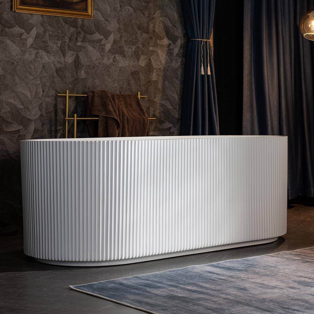Pavanjit 67" White Acrylic Freestanding Soaking Bathtub