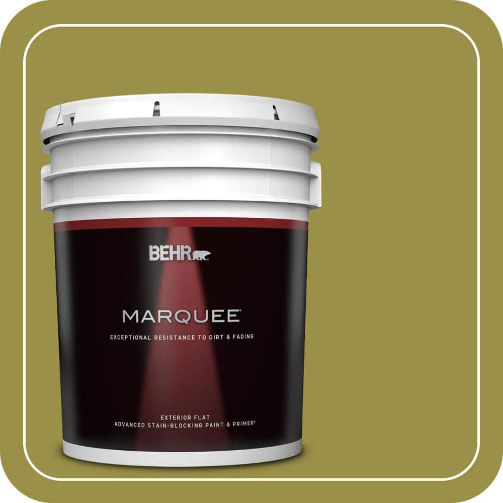 5 gal. Home Decorators Collection #HDC-FL13-8 Tangy Dill Flat Exterior Paint & Primer price history on PriceWatchPro