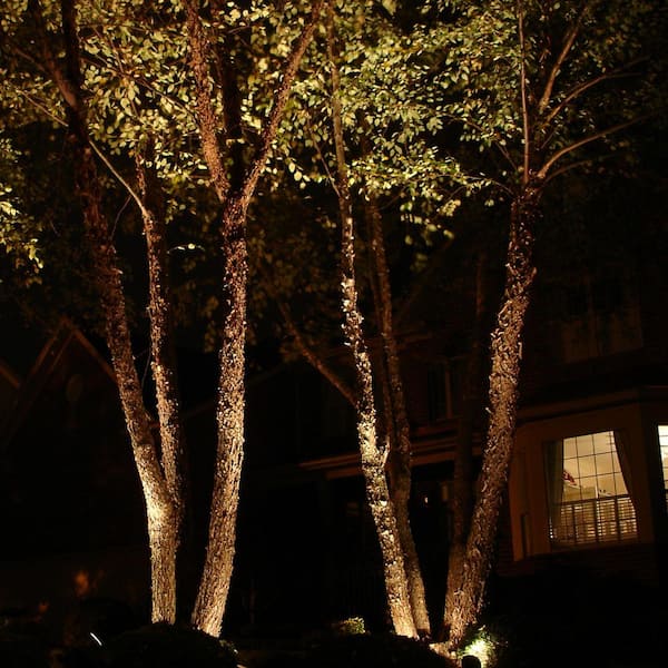 Professional Series 6-Watt LED Low Voltage Outdoor Landscape Well Light Professional Series 6-Watt LED Low Voltage Outdoor Landscape Well Light