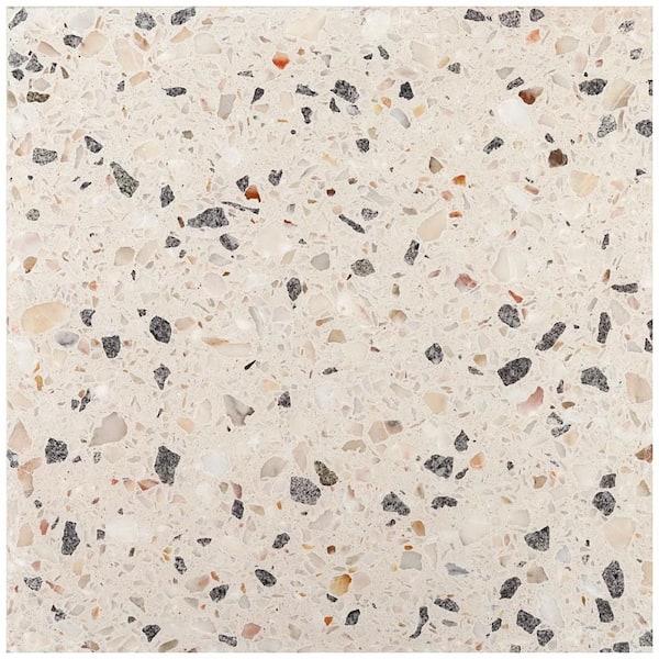 Raleigh Sonora 4 in. x 0.71 in. Polished Terrazzo Floor and Wall Tile Sample