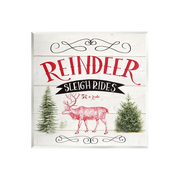 Stupell Industries Sleigh Rides Phrase by Corinne Haig 1-Piece Unframed Graphic Print Typography Poster Art Print 12 in. x 12 in.