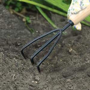 5.3 in. 3-Tine Wood Handle Cultivator