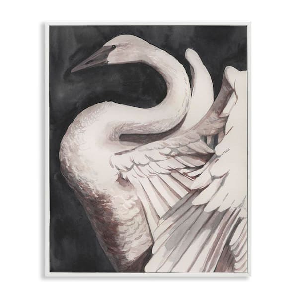 Stupell Industries Swan Spreading Wings by Grace Popp White Framed Animal Giclee Art Print 30 in. x 24 in.