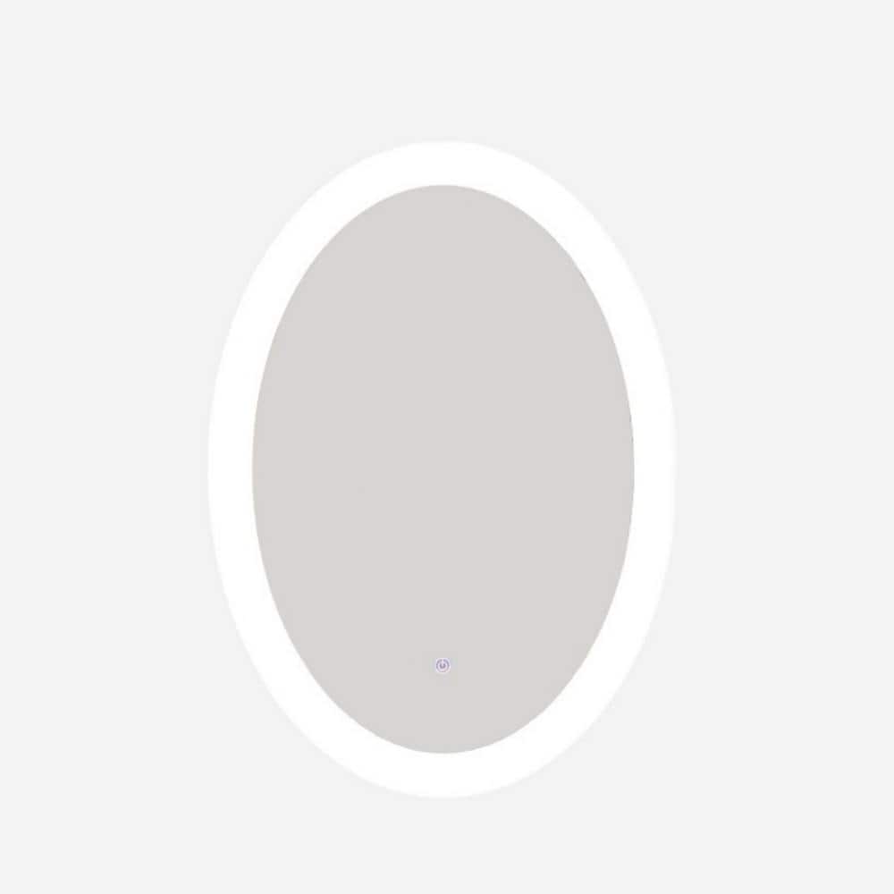 Modern 20 in. W x 28 in. H Large Oval Frameless LED Mirror Wall Mount Bathr