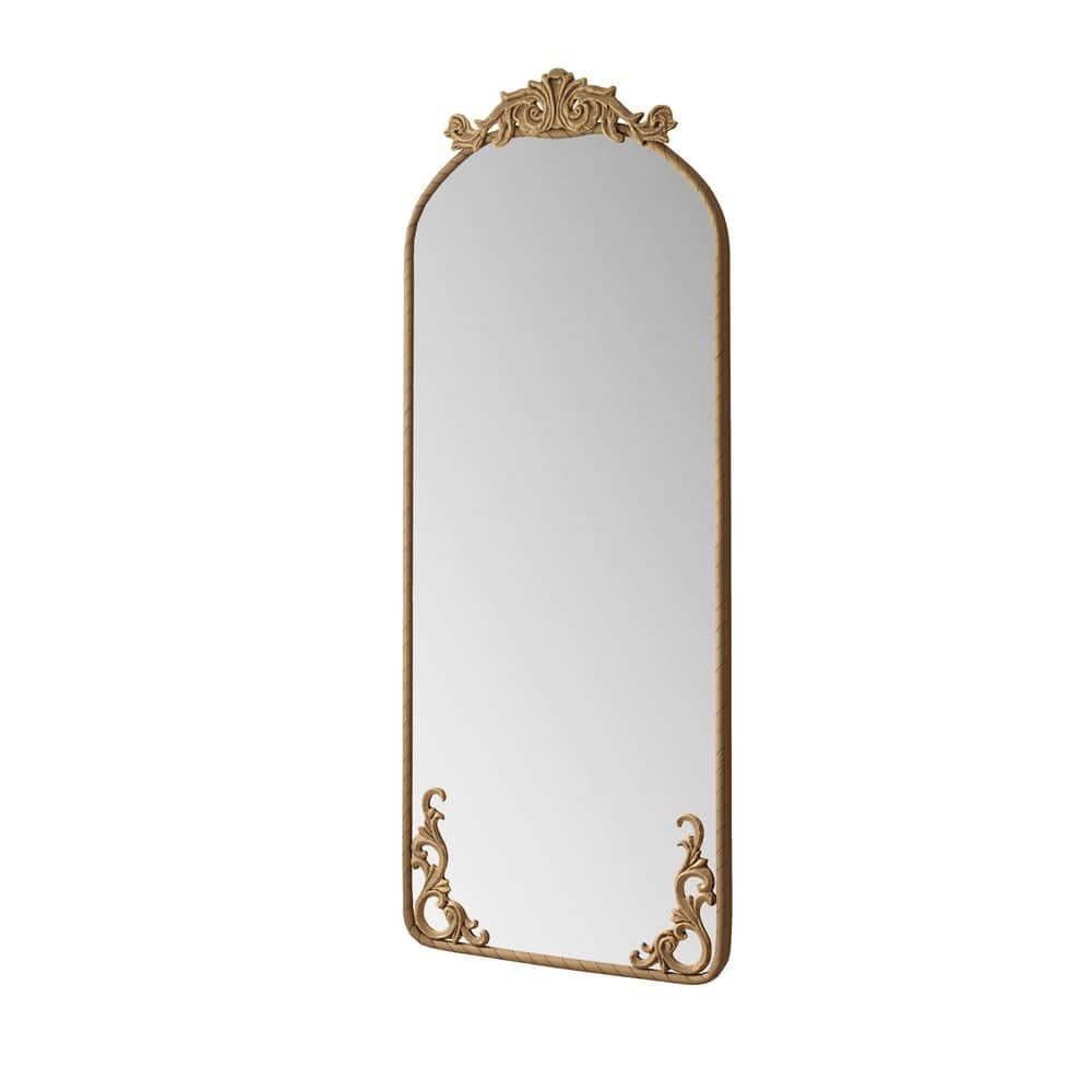Bronze 24 in. W x 58 in. H Arched Metal Framed Mirror with Vintage Ornate Carved Applique price history on PriceWatchPro